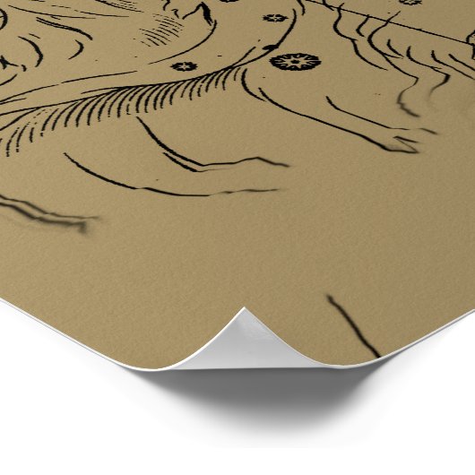 Vintage Aries Map Hevelius 1690 Poster (Ecke)