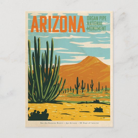 Vintage Arizona Desert Cactus Postkarte (Vorderseite)