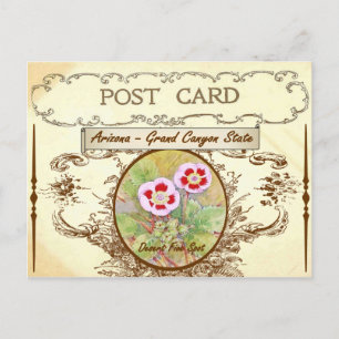 Vintage Arizona Staat Blume Postkarte