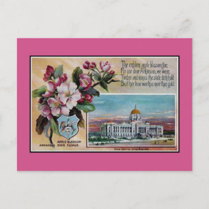 Vintage Arkansas State Blume, Gedicht Postkarte