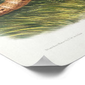 Vintage Armadillo-Illustration Poster (Ecke)