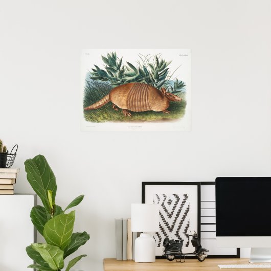 Vintage Armadillo-Illustration Poster (Heimbüro)