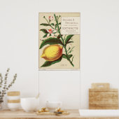 Vintage-Aroma-Extrakt-Werbeplakat Poster (Küche)