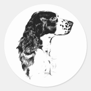 Vintage Art English Springer Spaniel Hund Runder Aufkleber