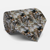 Vintage Aschenputtel Fütternd Vögel Krawatte (Gerollt)