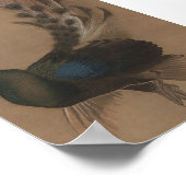 Vintage asiatische Pfauenkunst Poster (Ecke)