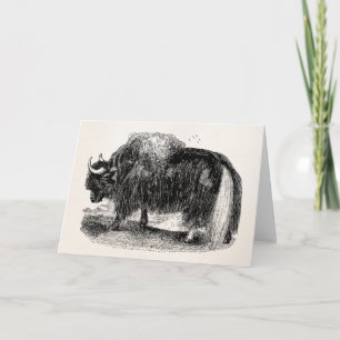 Vintage asiatische Yak-Retro Yak-Tier-Illustration Karte