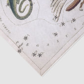 Vintage Astronomical Celestial Map Seidenpapier (Detail)