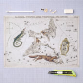 Vintage Astronomical Celestial Map Seidenpapier (Handwerk)