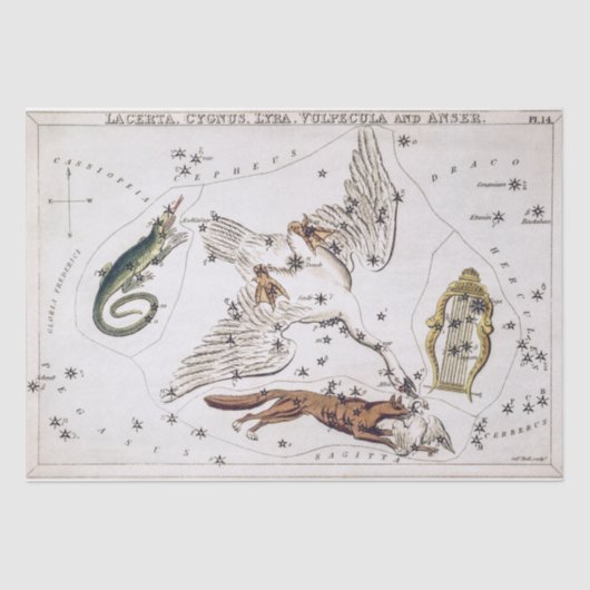 Vintage Astronomical Celestial Map Seidenpapier (Vorderseite)