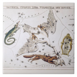 Vintage Astronomical Map of Lacerta, Cygnus, Lyra Fliese