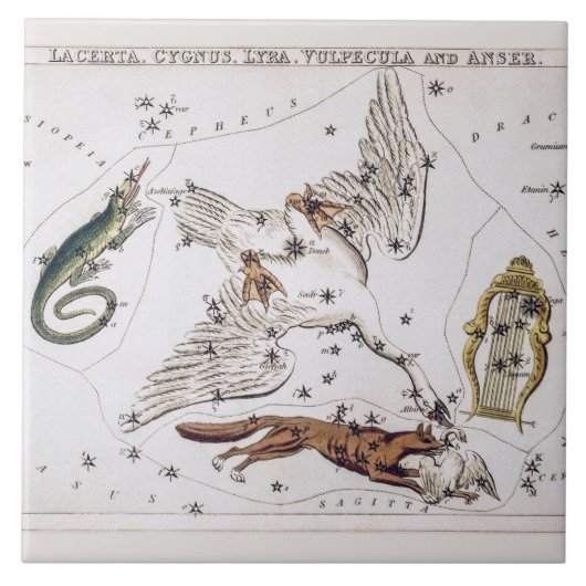 Vintage Astronomical Map of Lacerta, Cygnus, Lyra Fliese (Vorderseite)