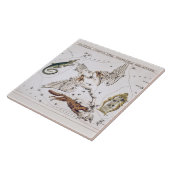 Vintage Astronomical Map of Lacerta, Cygnus, Lyra Fliese (Seite)