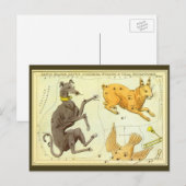 Vintage Astronomie, Himmelskarte in Sky Postkarte (Vorne/Hinten)