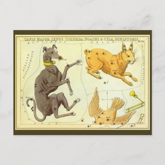 Vintage Astronomie, Himmelskarte in Sky Postkarte (Vorderseite)