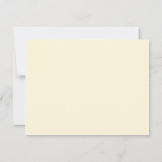 Vintage Astronomie, Himmelskarte von Carel Allard (Rückseite)