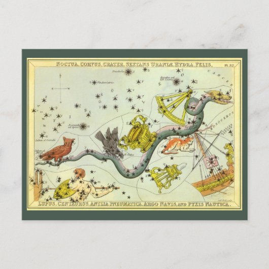 Vintage Astronomie, Hydra-Schlange-Sterne Postkarte (Vorderseite)