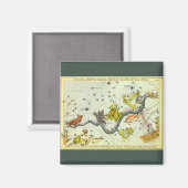 Vintage Astronomie, Hydra-Schlange-Sternenkonstell Magnet (Vorderseite/Rückseite)