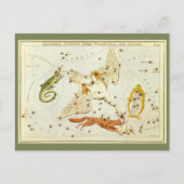 Vintage Astronomie, Sternbilder Postkarte (Vorderseite)
