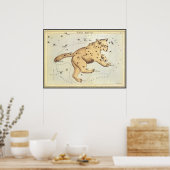 Vintage Astronomie, Ursa Großkonstellation, Bär Poster (Küche)