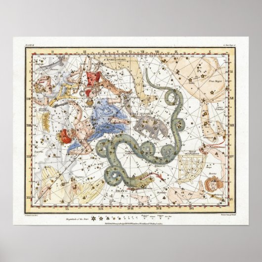 Vintage Astronomiekonstellationen Poster (Vorne)