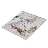 Vintage Astronomische Karte Fliese (Seite)