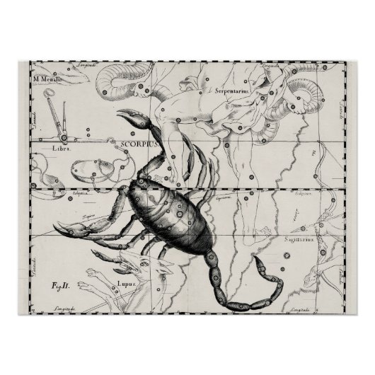 Vintage Astronomy Constellations Celestial Map  Poster (Vorderseite)