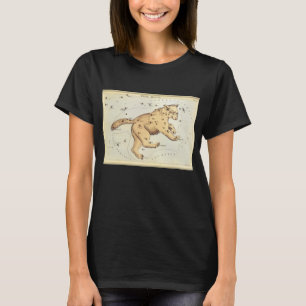 Vintage Astronomy, Ursa Major Constellation, Bear T-Shirt
