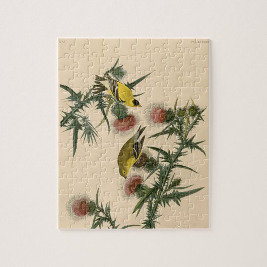 Vintage Audubon American Goldfinch Bird Malerei Puzzle (Vertikal)