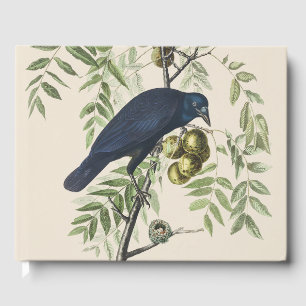 Vintage Audubon Amerikanische Krähe Vogel Natur Ku Gästebuch