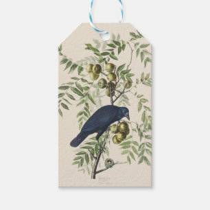 Vintage Audubon Amerikanische Krähe Vogel Natur Ku Geschenkanhänger