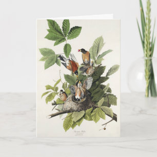 Vintage Audubon Amerikanische-Rotdrossel-Vogelnest Feiertagskarte