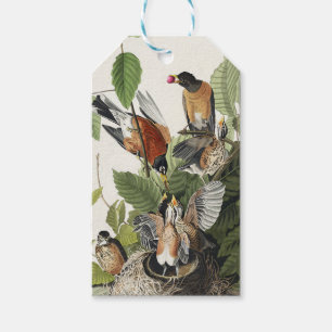 Vintage-Audubon-Amerikanische-Rotdrossel-Vogelnest Geschenkanhänger