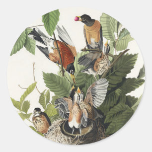 Vintage-Audubon-Amerikanische-Rotdrossel-Vogelnest Runder Aufkleber