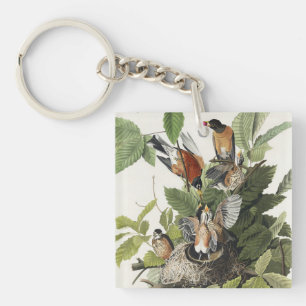 Vintage Audubon Amerikanische Rotdrossel Vogelnest Schlüsselanhänger