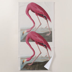 Vintage Audubon Amerikanischer Flamingo Rosa Vogel Strandtuch