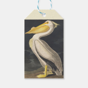 Vintage Audubon Amerikanischer Weißer Pelikan Voge Geschenkanhänger