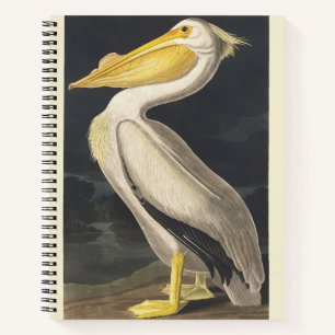 Vintage Audubon Amerikanischer Weißer Pelikan Voge Notizblock
