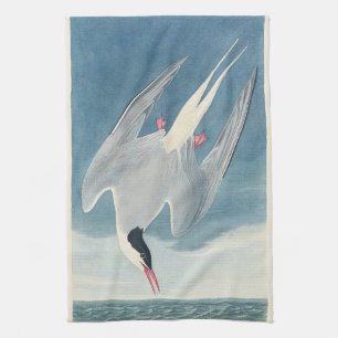Vintage-Audubon-Arktikseeschwalbe-Küstenvogel-Kuns Geschirrtuch