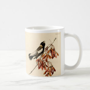 Vintage-Audubon-Bobolink-Gemälde-Geschenk-Kaffeeta Kaffeetasse
