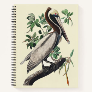 Vintage Audubon Brauner Pelikan Küsten-Vogelkunst Notizblock