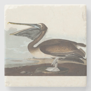 Vintage Audubon Brauner Pelikan Küsten-Vogelkunst Steinuntersetzer