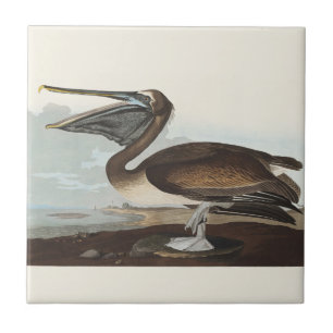 Vintage-Audubon-Braunpelikan-Küsten-Vogelkunst Fliese