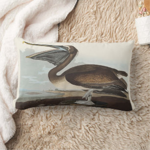 Vintage-Audubon-Braunpelikan-Küsten-Vogelkunst Lendenkissen