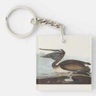 Vintage-Audubon-Braunpelikan-Küsten-Vogelkunst Schlüsselanhänger