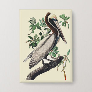 Vintage-Audubon-Braunpelikan-Küstenvogel-Kunst Button