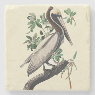 Vintage-Audubon-Braunpelikan-Küstenvogel-Kunst Steinuntersetzer