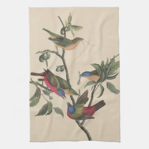 Vintage-Audubon-Buntingschildkrähe-Farbvogel-Kunst Geschirrtuch