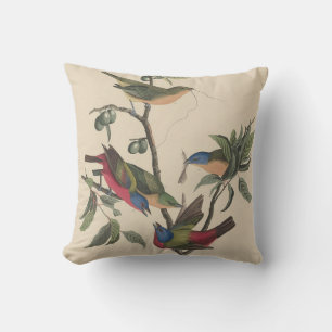Vintage-Audubon-Buntingschildkrähe-Farbvogel-Kunst Kissen