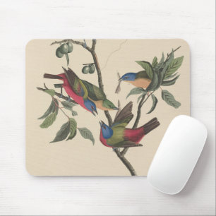 Vintage-Audubon-Buntingschildkrähe-Farbvogel-Kunst Mousepad